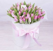 51 pink tulip in a box